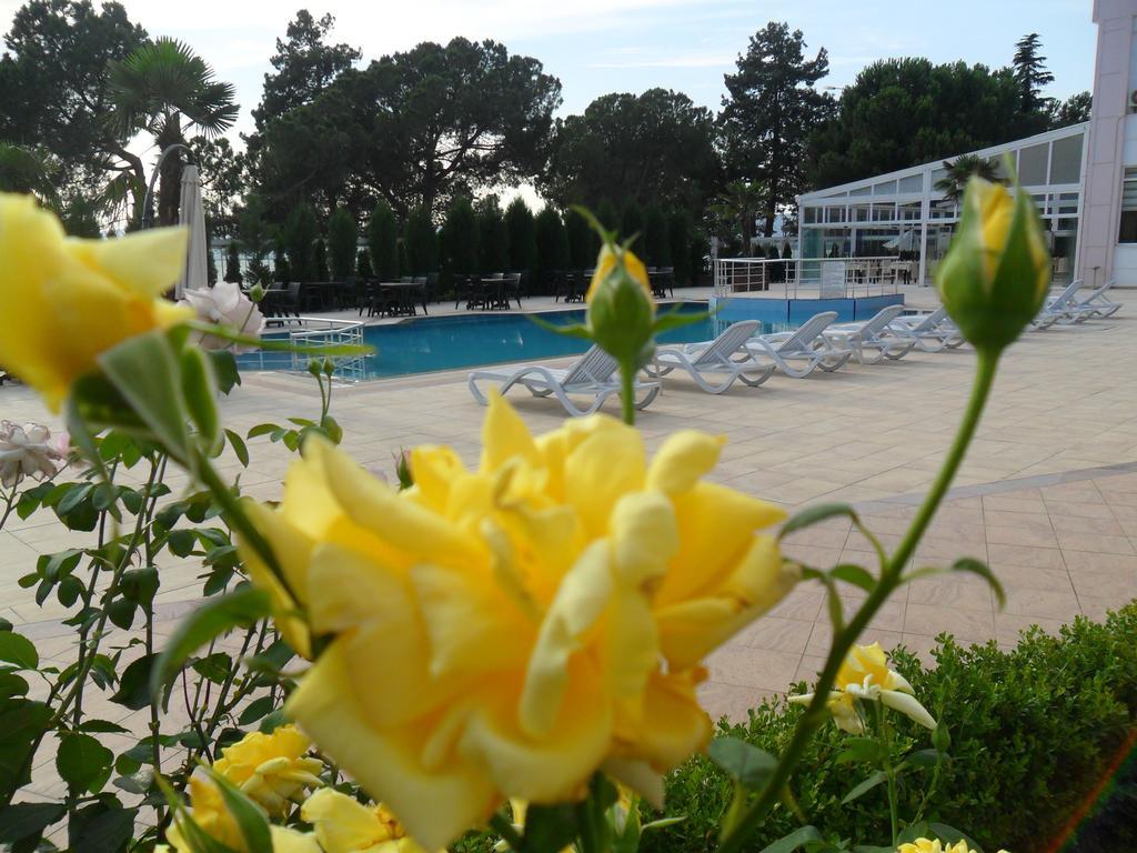Grand Nicea Hotel İznik Kamer foto
